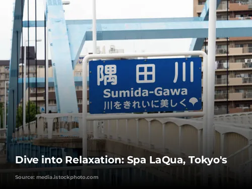 Dive into Relaxation: Spa LaQua, Tokyo's Oasis