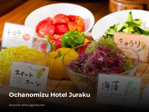 Ochanomizu Hotel Juraku