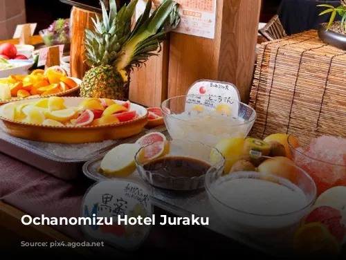 Ochanomizu Hotel Juraku