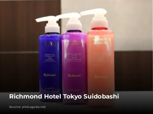 Richmond Hotel Tokyo Suidobashi