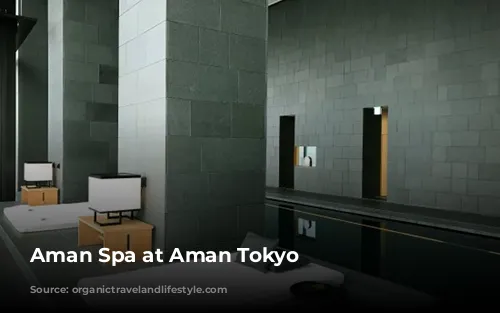 Aman Spa at Aman Tokyo