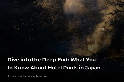 Dive into the Deep End: What You Need to Know About Hotel Pools in Japan