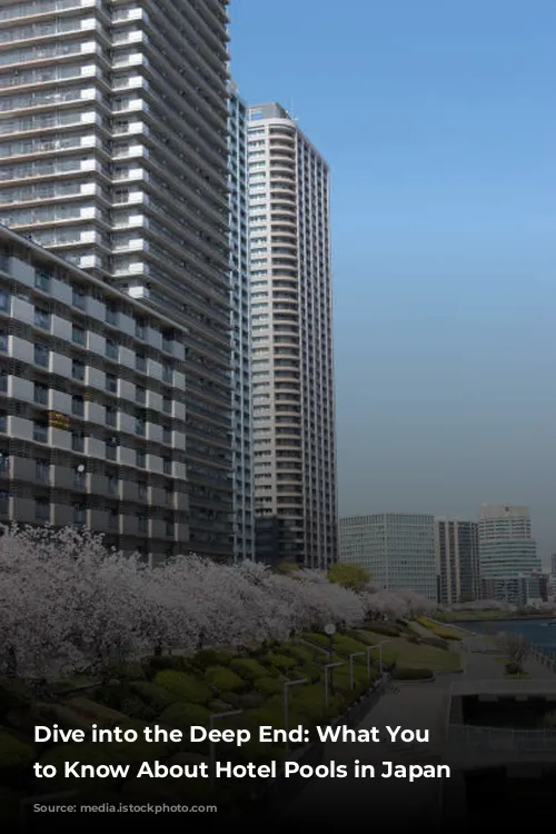 Dive into the Deep End: What You Need to Know About Hotel Pools in Japan