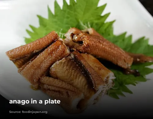 anago in a plate