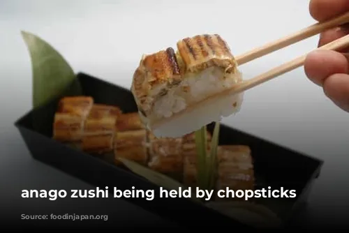 anago zushi being held by chopsticks