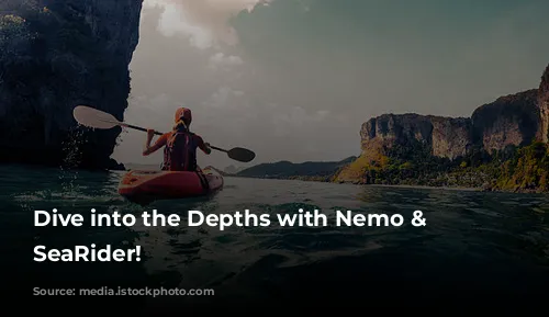 Dive into the Depths with Nemo & Friends SeaRider!