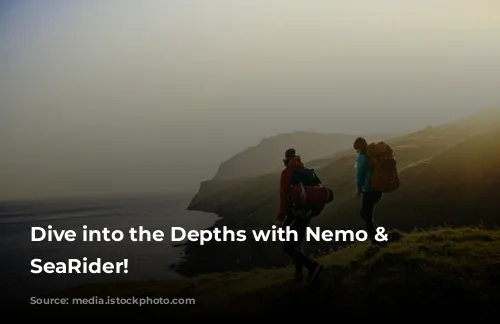 Dive into the Depths with Nemo & Friends SeaRider!