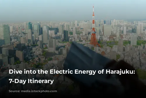 Dive into the Electric Energy of Harajuku: A 7-Day Itinerary