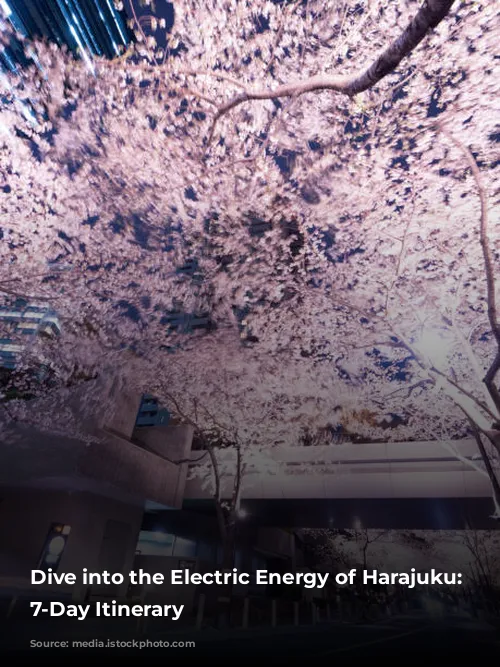 Dive into the Electric Energy of Harajuku: A 7-Day Itinerary