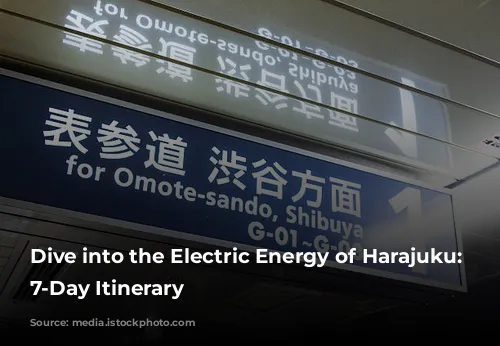 Dive into the Electric Energy of Harajuku: A 7-Day Itinerary