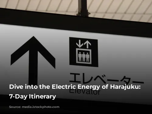 Dive into the Electric Energy of Harajuku: A 7-Day Itinerary