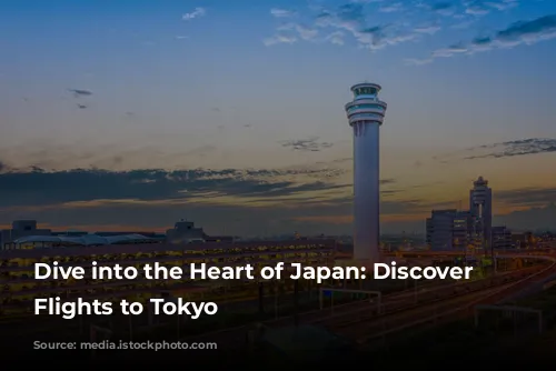 Dive into the Heart of Japan: Discover Affordable Flights to Tokyo