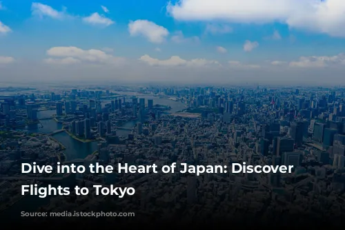 Dive into the Heart of Japan: Discover Affordable Flights to Tokyo