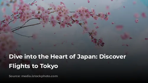 Dive into the Heart of Japan: Discover Affordable Flights to Tokyo