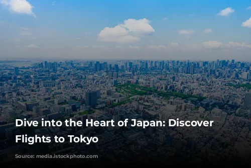 Dive into the Heart of Japan: Discover Affordable Flights to Tokyo