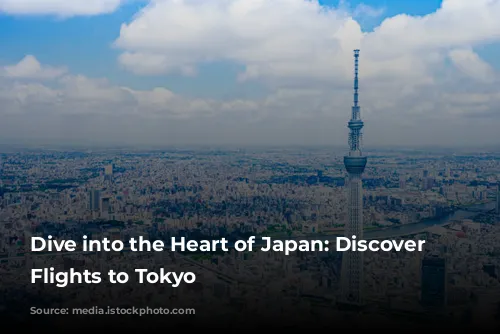 Dive into the Heart of Japan: Discover Affordable Flights to Tokyo