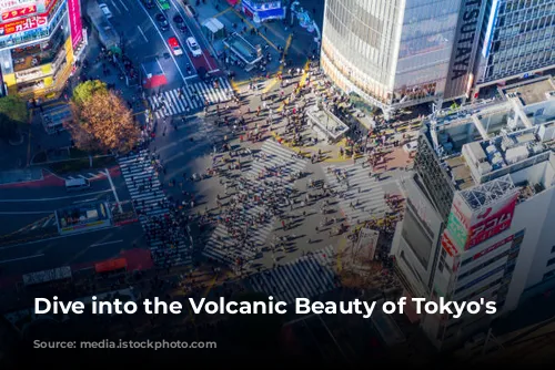 Dive into the Volcanic Beauty of Tokyo's Islands