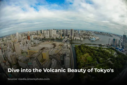 Dive into the Volcanic Beauty of Tokyo's Islands