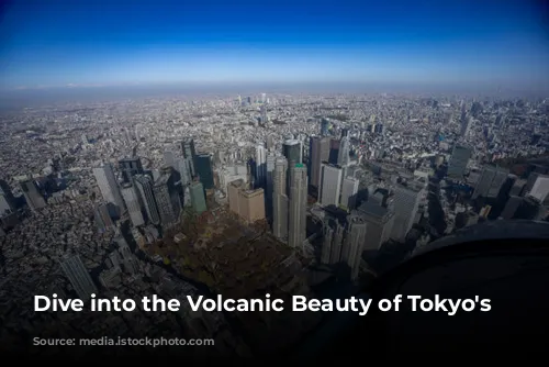 Dive into the Volcanic Beauty of Tokyo's Islands