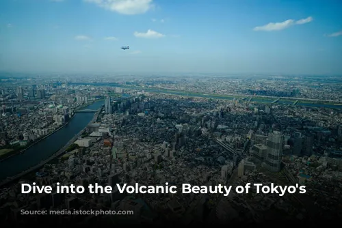 Dive into the Volcanic Beauty of Tokyo's Islands