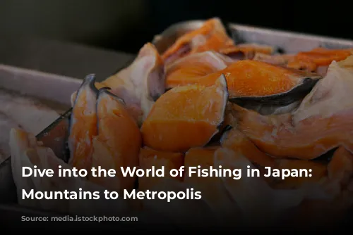 Dive into the World of Fishing in Japan: From Mountains to Metropolis