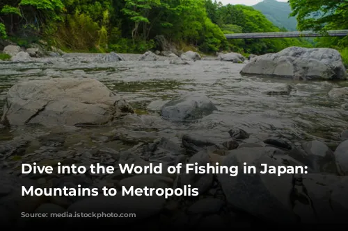 Dive into the World of Fishing in Japan: From Mountains to Metropolis