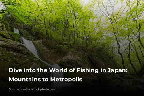 Dive into the World of Fishing in Japan: From Mountains to Metropolis