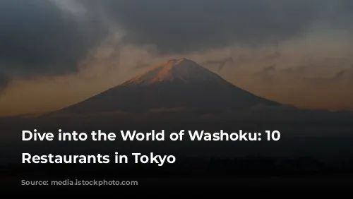 Dive into the World of Washoku: 10 Exquisite Restaurants in Tokyo