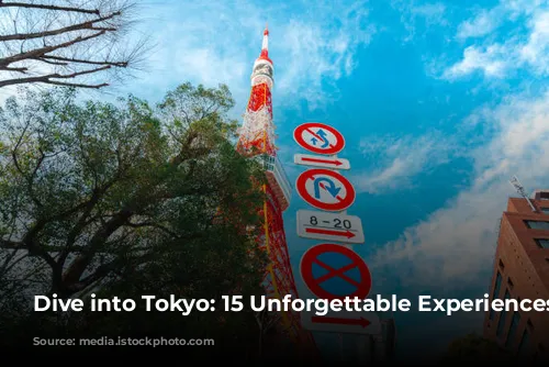 Dive into Tokyo: 15 Unforgettable Experiences