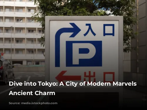 Dive into Tokyo: A City of Modern Marvels and Ancient Charm