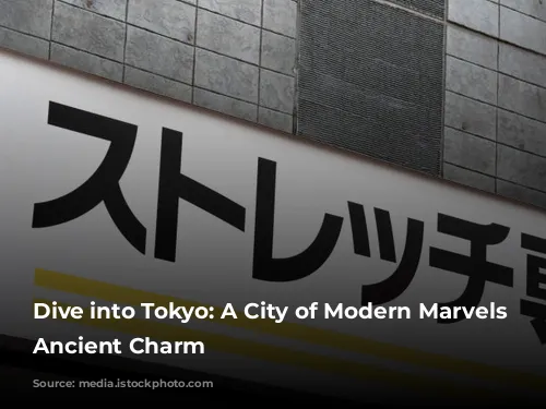 Dive into Tokyo: A City of Modern Marvels and Ancient Charm