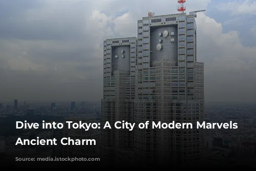 Dive into Tokyo: A City of Modern Marvels and Ancient Charm