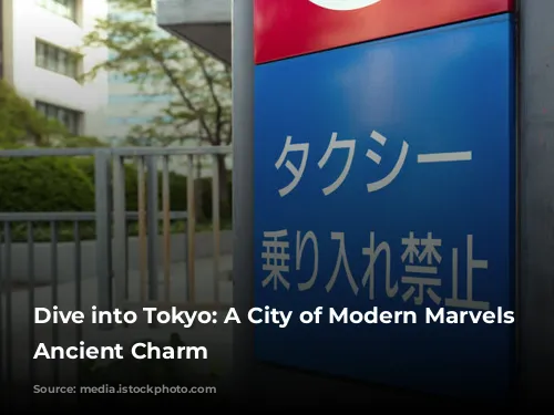 Dive into Tokyo: A City of Modern Marvels and Ancient Charm