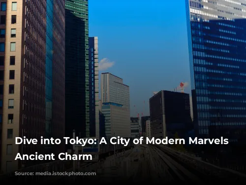 Dive into Tokyo: A City of Modern Marvels and Ancient Charm