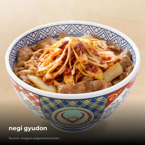 negi gyudon