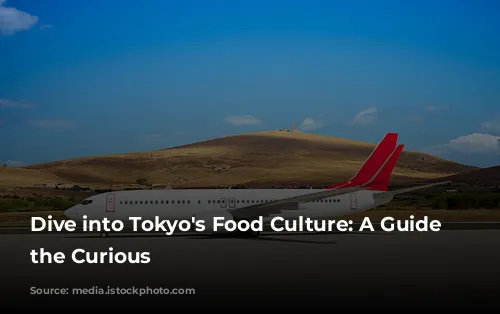 Dive into Tokyo's Food Culture: A Guide for the Curious