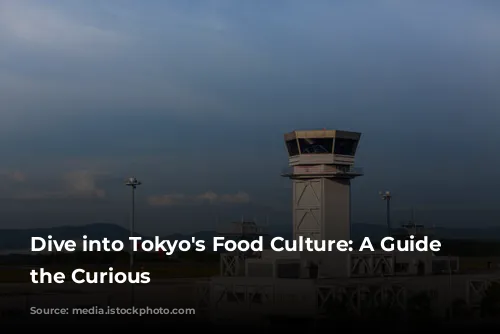 Dive into Tokyo's Food Culture: A Guide for the Curious