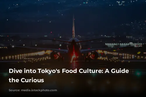 Dive into Tokyo's Food Culture: A Guide for the Curious