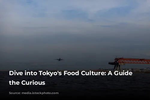 Dive into Tokyo's Food Culture: A Guide for the Curious