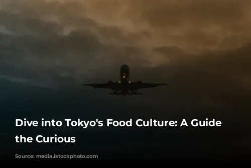 Dive into Tokyo's Food Culture: A Guide for the Curious