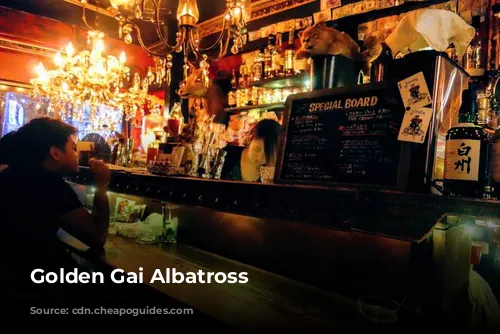 Golden Gai Albatross