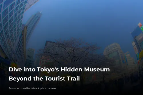 Dive into Tokyo's Hidden Museum Gems: Beyond the Tourist Trail