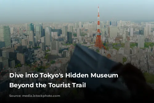 Dive into Tokyo's Hidden Museum Gems: Beyond the Tourist Trail