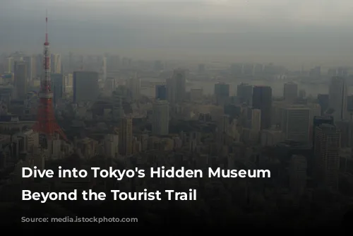 Dive into Tokyo's Hidden Museum Gems: Beyond the Tourist Trail