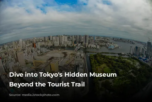 Dive into Tokyo's Hidden Museum Gems: Beyond the Tourist Trail