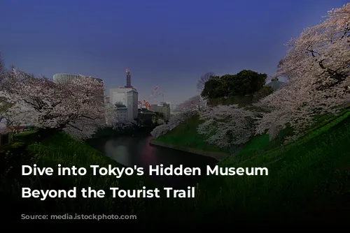 Dive into Tokyo's Hidden Museum Gems: Beyond the Tourist Trail