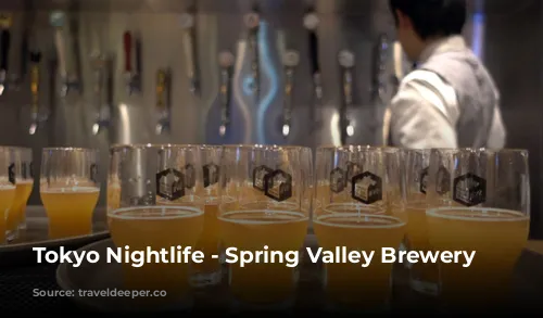 Tokyo Nightlife - Spring Valley Brewery