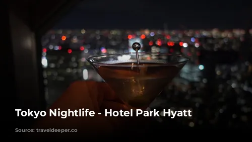 Tokyo Nightlife - Hotel Park Hyatt