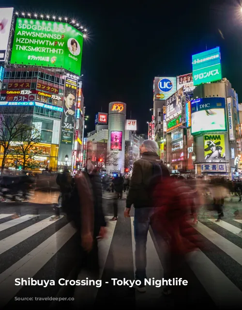 Shibuya Crossing - Tokyo Nightlife