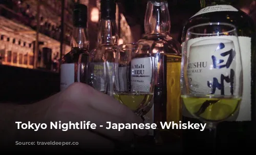 Tokyo Nightlife - Japanese Whiskey Library